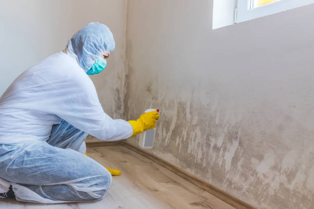 Mold Remediation specialist working in Bridgeport
